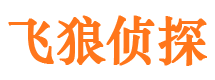 庐江侦探公司